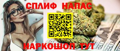 сатива Славянск-на-Кубани